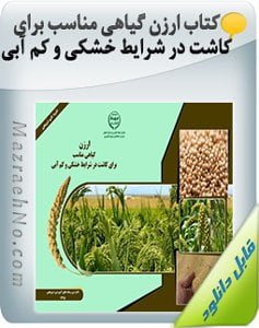 کتاب ارزن گیاهی مناسب برای کاشت در شرایط خشکی و کم آبی