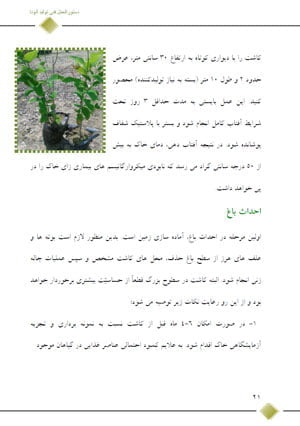 کتاب دستورالعمل فنی تولید آنونا