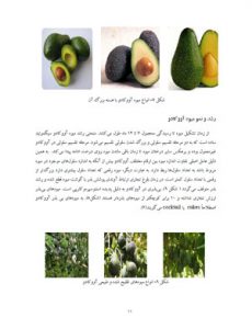 کتاب کشت و پرورش آووکادو