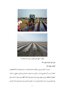 کتاب کاشت، داشت و برداشت بادمجان