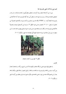 کتاب کاشت، داشت و برداشت بادمجان