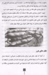 کتاب زراعت باقلا