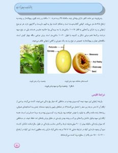 کتاب آشنایی و پرورش پشن فروت (Passion fruit)