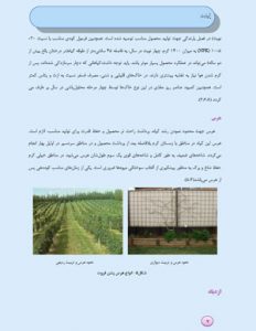 کتاب آشنایی و پرورش پشن فروت (Passion fruit)