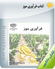 کتاب فرآوری موز