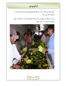 کتاب فرآوری موز