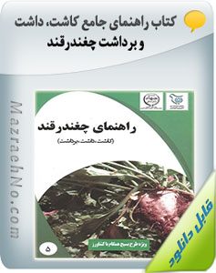 کتاب راهنمای جامع کاشت، داشت و برداشت چغندرقند