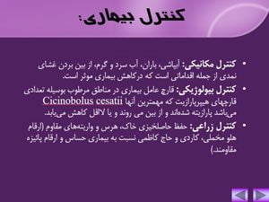 پاورپوینت بیماری های هلو