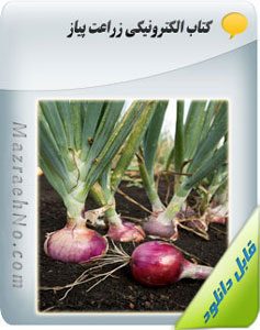 کتاب آموزش زراعت پیاز