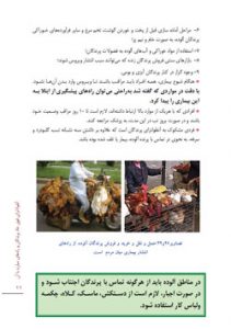 کتاب آنفلوآنزای فوق حاد پرندگان و راههای مبارزه با آن