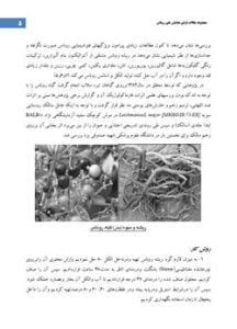 کتاب مجموعه مقالات همایش ملی روناس