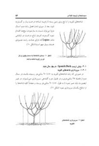 کتاب سیستم های تربیت درخت گیلاس