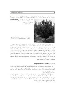 کتاب سیستم های تربیت درخت گیلاس