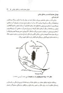 کتاب احیا و بهره برداری از بیابان
