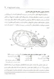 کتاب قارچ شناسی عمومی دامپزشکی