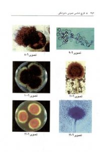 کتاب قارچ شناسی عمومی دامپزشکی