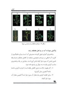 کتاب برنامه‌ریزی آبیاری سویا