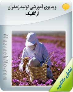 پکیج آموزشی زراعت زعفران 20 ویدیوی آموزشی تولید زعفران ارگانیک