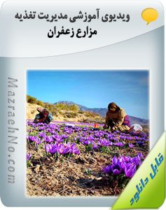 پکیج آموزشی زراعت زعفران 21 ویدیوی آموزشی مدیریت تغذیه مزارع زعفران