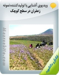 پکیج آموزشی زراعت زعفران 22 ویدیوی تولید کننده نمونه زعفران در سطح کوچک