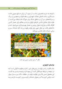 بسته کارآفرینی ترویج کشت و پرورش عناب