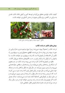 بسته کارآفرینی ترویج کشت و پرورش عناب