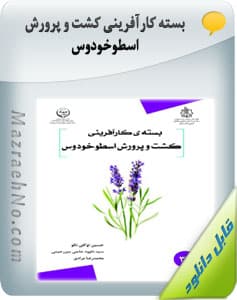 کتاب بسته کارآفرینی کشت و پرورش اسطوخودوس