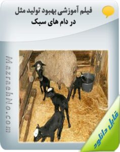 پکیج آموزشی پرورش گوسفند و بز 31 فیلم آموزشی بهبود تولید مثل در دام های سبک