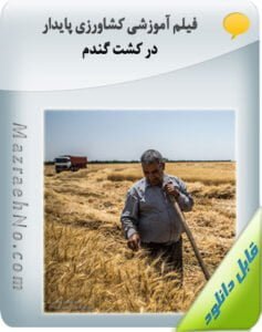 فیلم آموزشی کشاورزی پایدار در کشت گندم