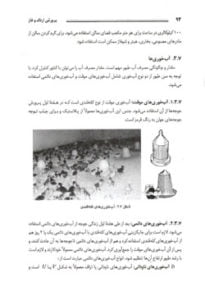 کتاب پرورش اردک و غاز