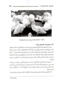 کتاب پرورش اردک و غاز