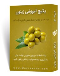 پکیج آموزشی پرورش زیتون