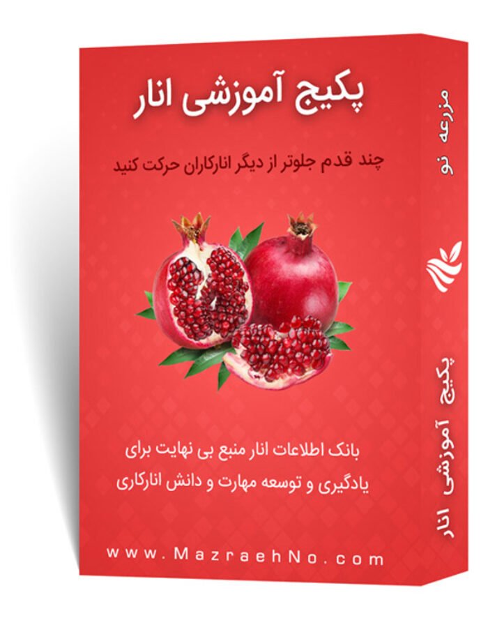 دانلود مجموعه جامع آموزش پرورش انار