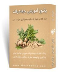 پکیج آموزشی زراعت چغندرقند