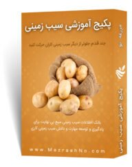 پکیج آموزشی زراعت سیب زمینی
