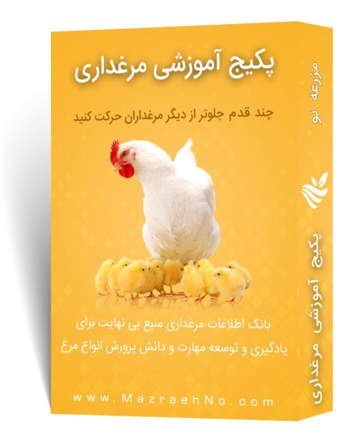 دانلود مجموعه جامع آموزش پرورش مرغ