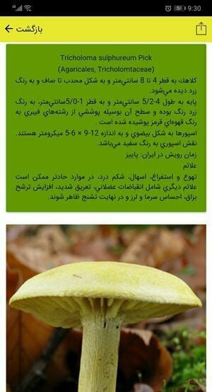 شناسایی قارچ های سمی ایران
