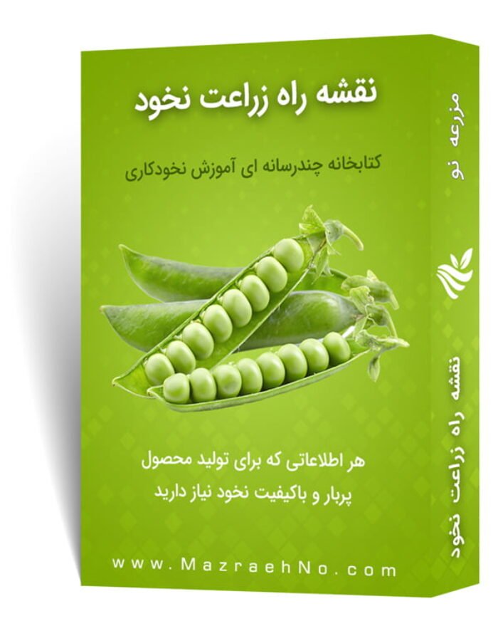 دانلود مجموعه جامع آموزش پرورش نخود