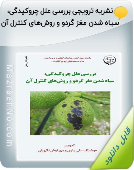 کتاب بررسی علل چروکیدگی، سیاه شدن مغز گردو و روشهای کنترل آن