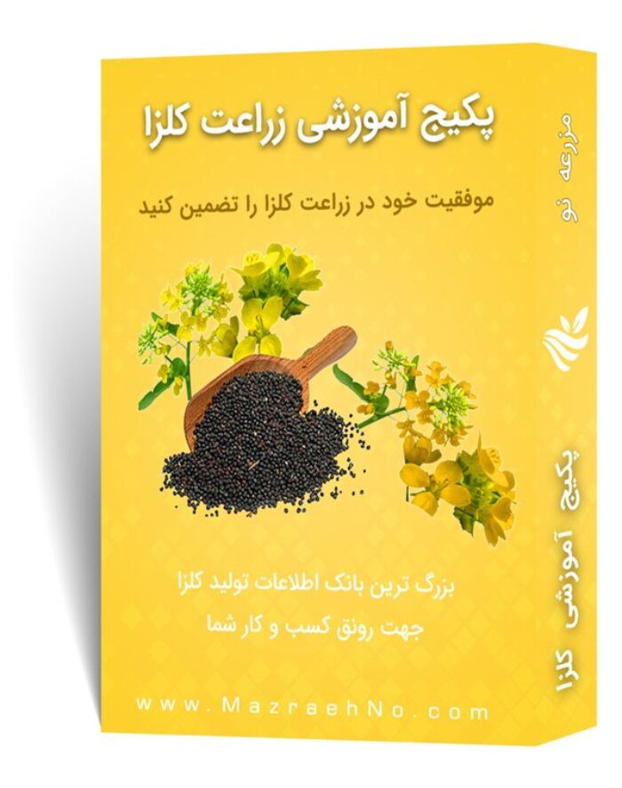 دانلود مجموعه جامع آموزش زراعت کلزا
