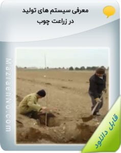 پکیج آموزشی صنوبر کاری 10 ویدیوی سخنرانی معرفی سیستم های تولید در زراعت چوب